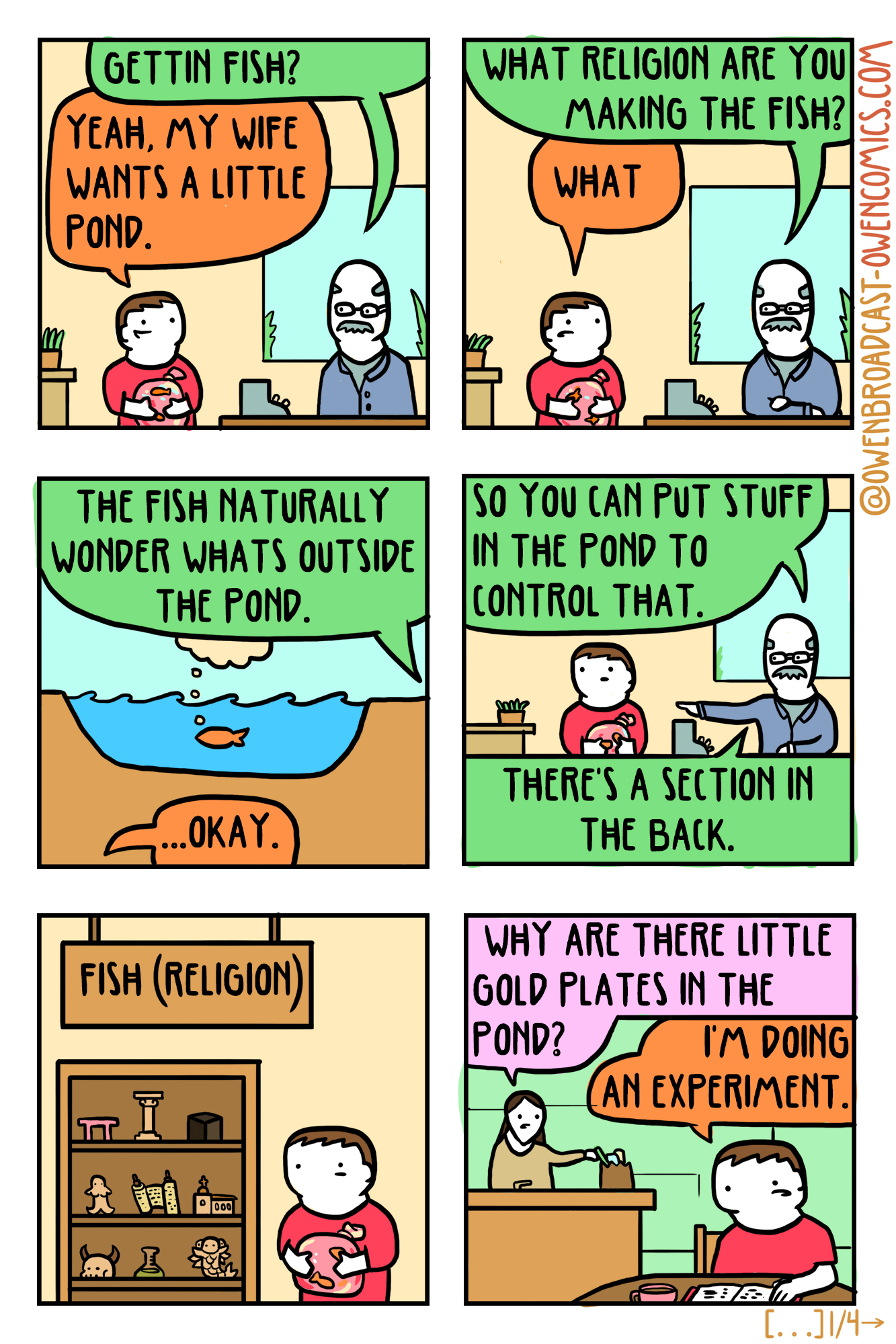 fish (1/4)