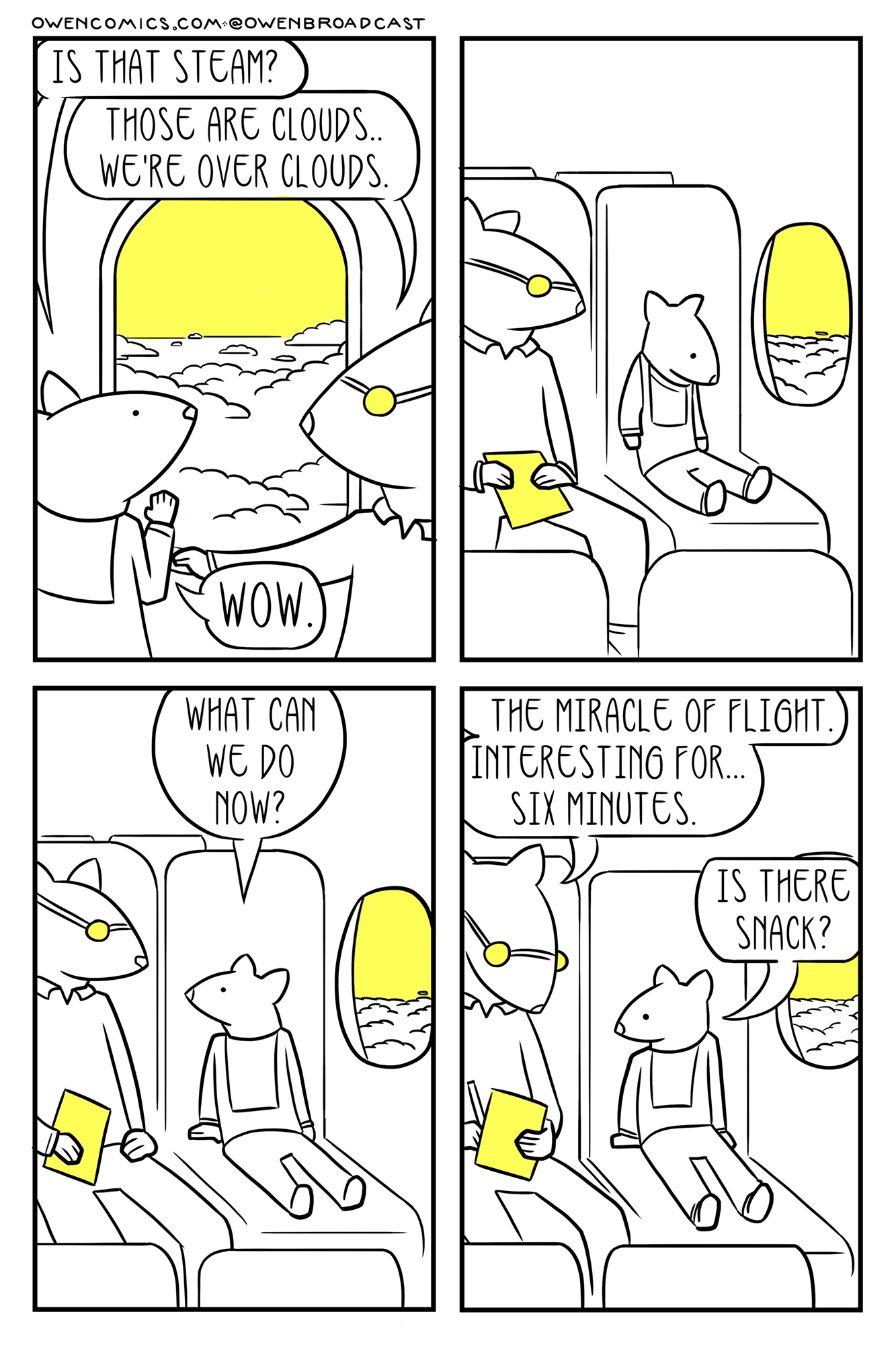 flight