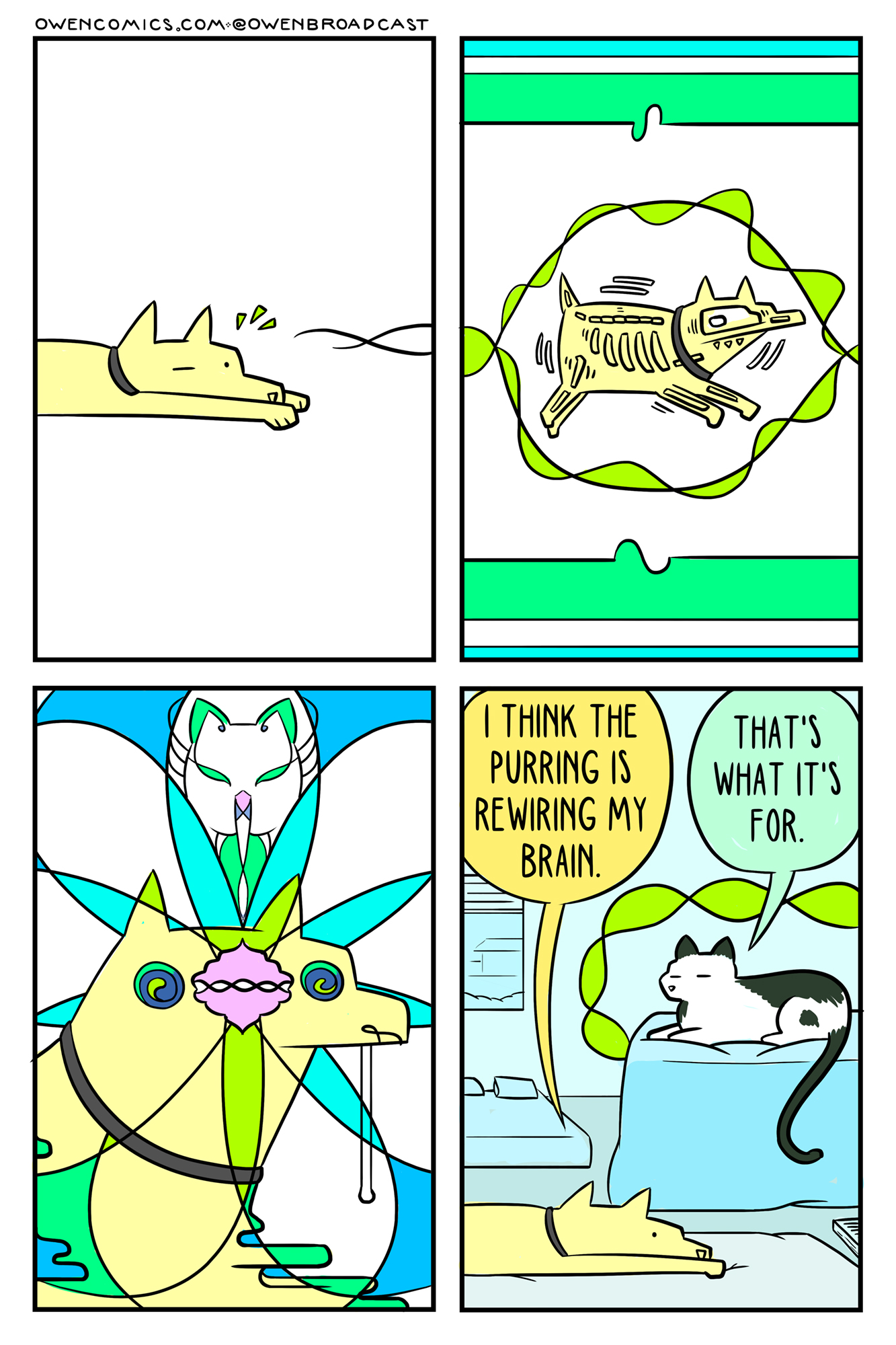 calibrate