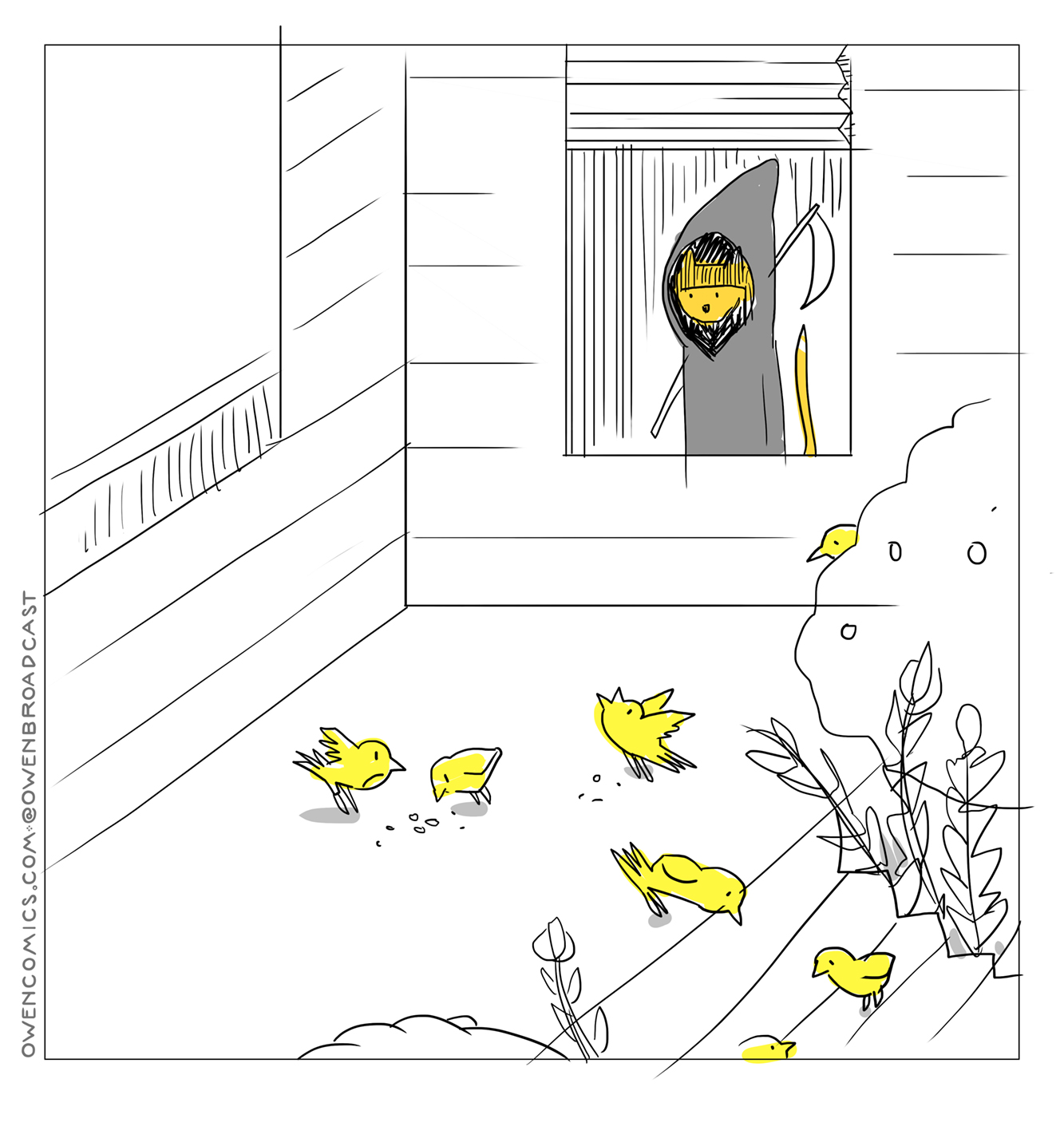 spring