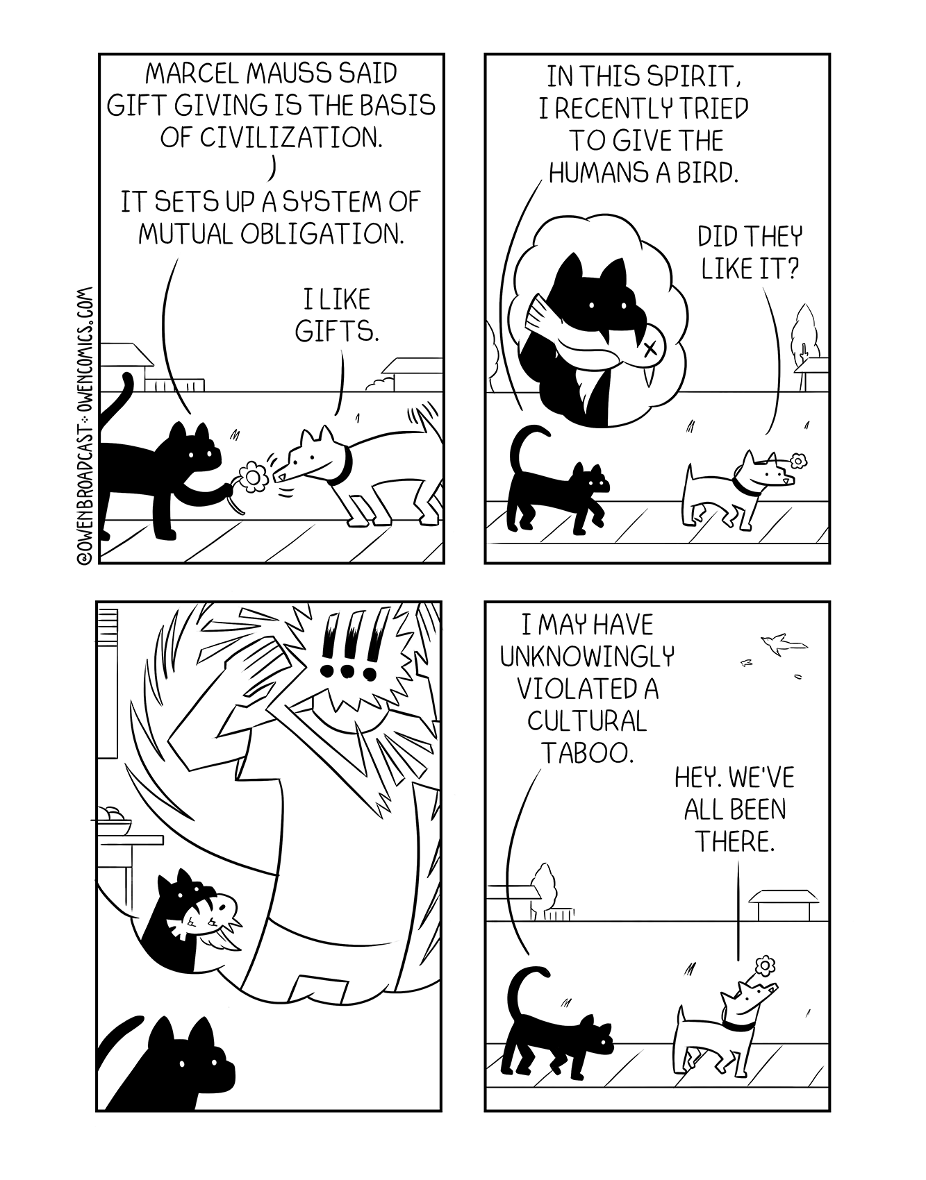 ornithology orthography