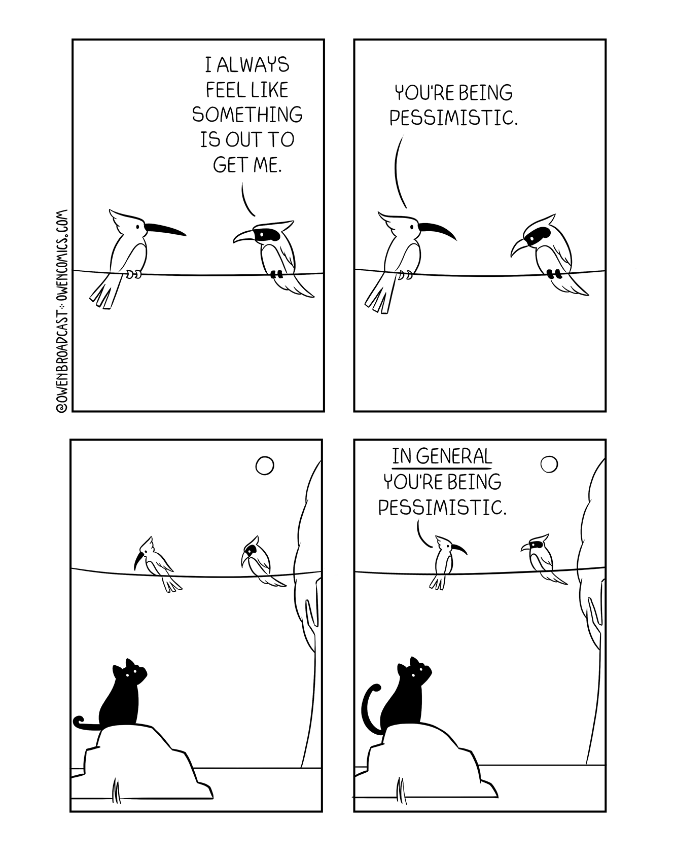 feline fine