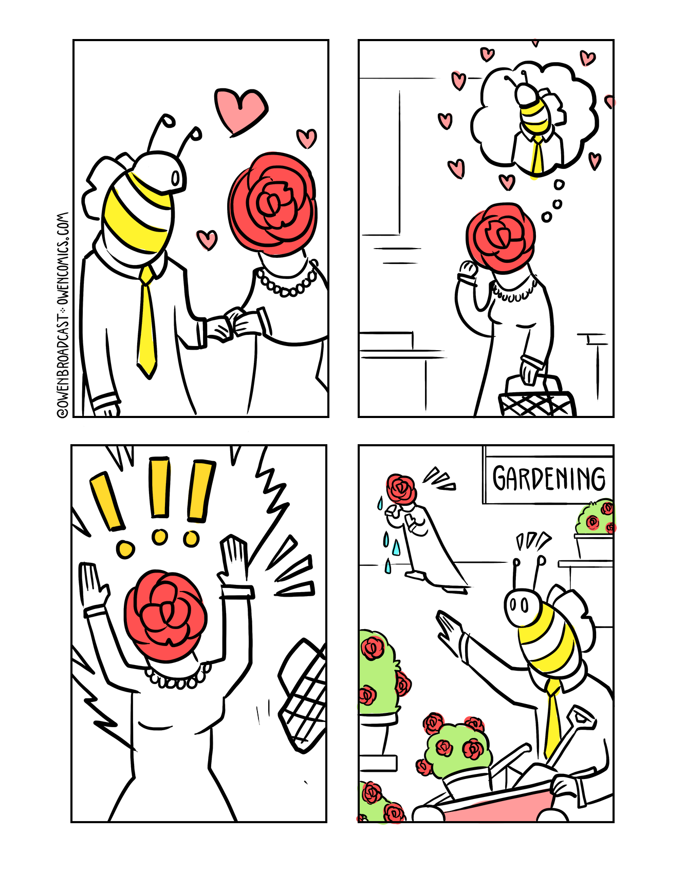 a rose by